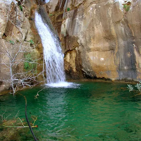 Philoxenia